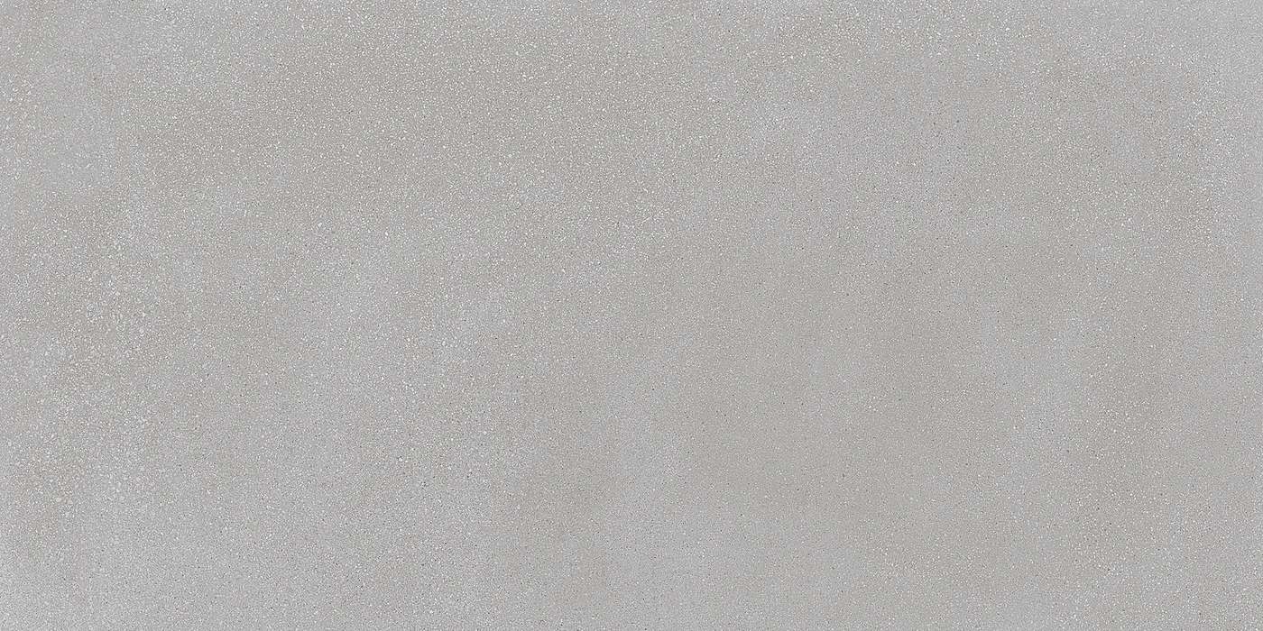 Ergon Medley Grey Minimal 60x120 см