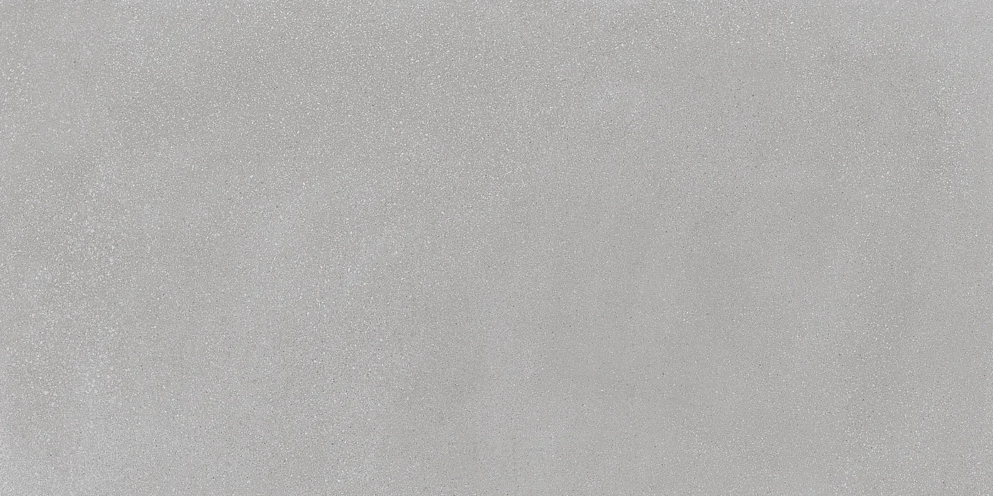Ergon Medley Grey Minimal Tecnica R11 60x120 см