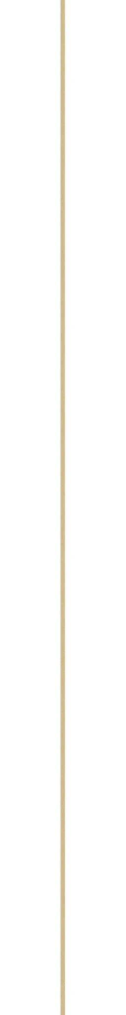 Provenza Ego Listello Metallo - Ottone 0,5x119,8 см