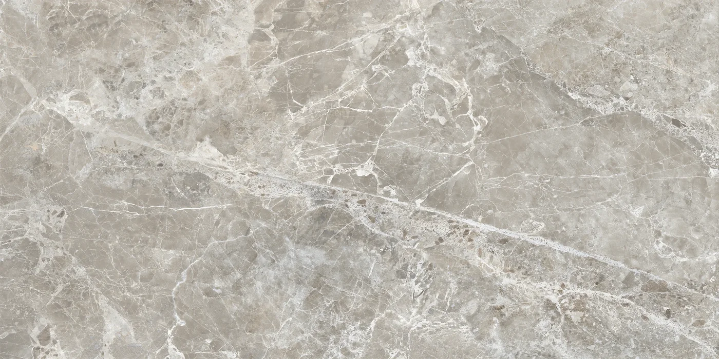 Provenza Unique Marble Moon Grey Silktech 60x120 см