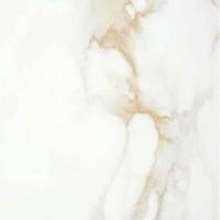 Керамогранит P.E. Pul. Camile gold rect. 120x120 от STN Ceramica (Stylnul) (Испания)