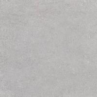 Керамогранит Nassau-R XTRA Gris 60 60x60 от Vives Ceramica (Испания)