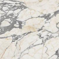 Керамогранит EPOQUE 21 ARABESCATO NAT RET 80x80 от Ariana (Италия)