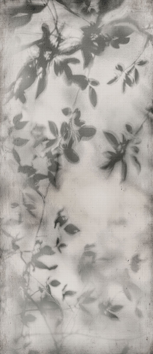 Керамогранит ART WALLS SHADOW NAT R 120x280