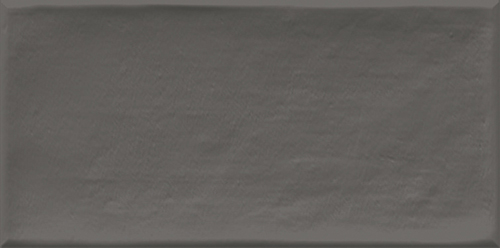 Керамическая плитка Etnia Antracita 10x20