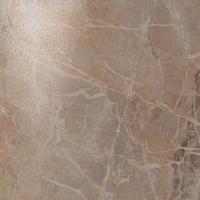 Керамогранит Privilege Grigio 60 Lapp 60x60 от Atlas Concorde (Россия)