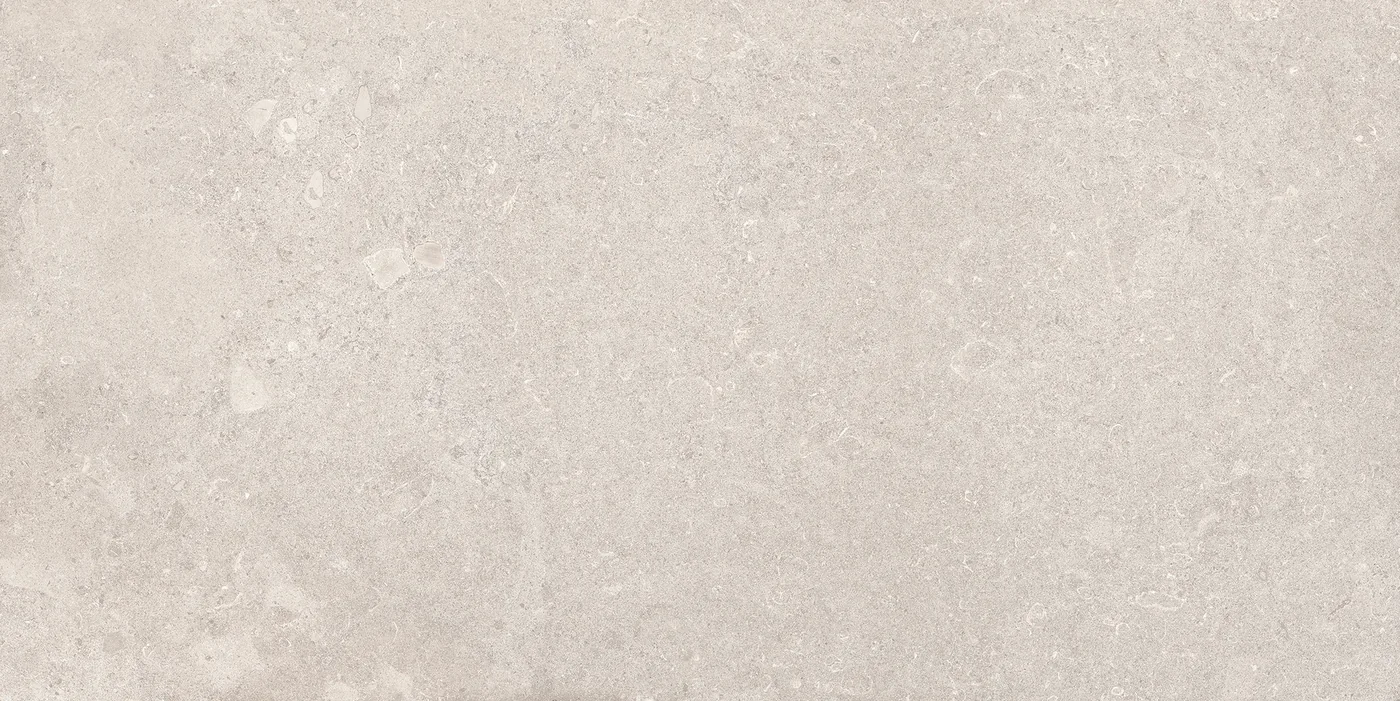 Emil Mapierre Noble Gris 60x120 см