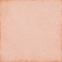 Керамогранит ART NOUVEAU CORAL PINK 24388 20x20  Equipe Ceramicas