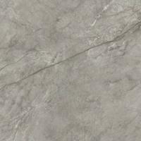 Керамогранит Marvel Meraviglia Silver Majestic Matt (AJJC) 60x60 от Atlas Concorde (Италия)