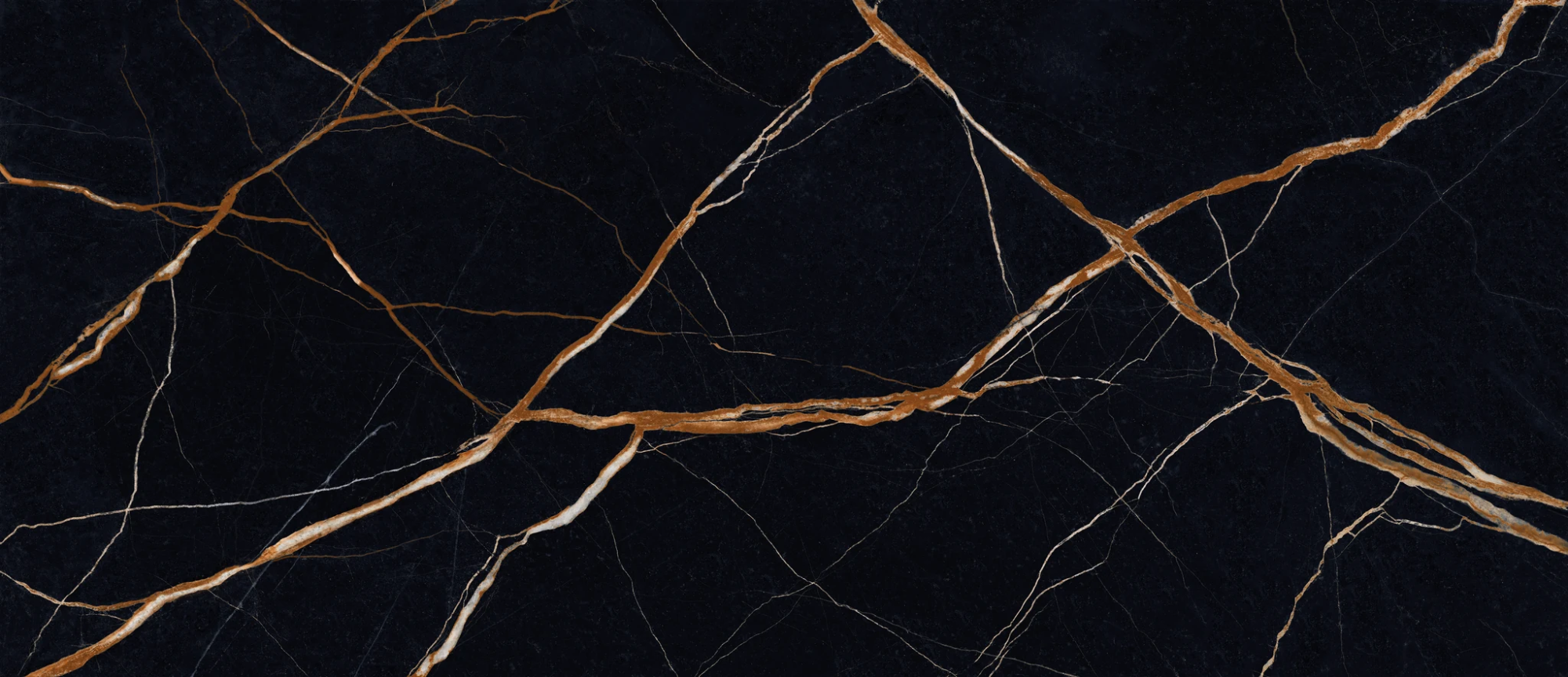 Provenza Unique Marble Sahara Noir Lappato 120x278 см
