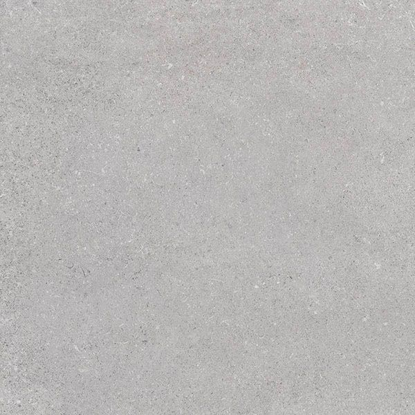 Керамогранит Nassau-R XTRA Gris 60 60x60 от Vives Ceramica (Испания)