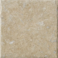 Керамогранит 1081041 Cotto Del Campiano Terra Di Pienza 20x20