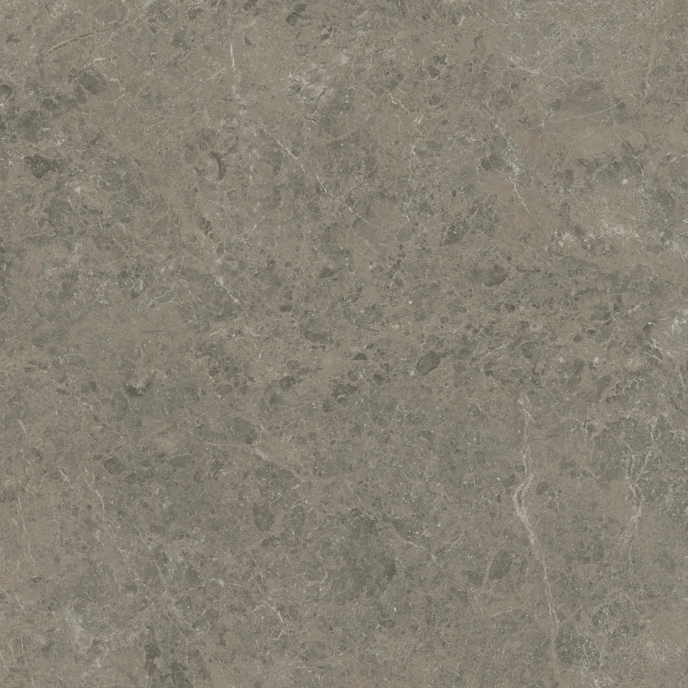 Керамогранит Marvel Meraviglia Grigio Elegante Lappato 9 mm 120×120