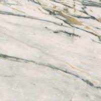 Керамогранит EPOQUE 21 CALACATTA BAMBOO ANT R (PF60009349) 60x60 от Ariana (Италия)