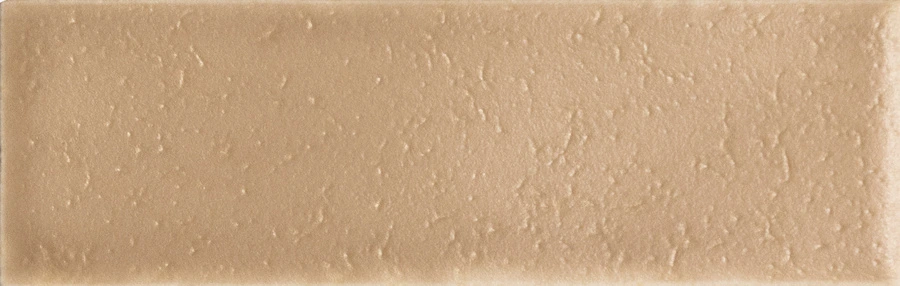 Skin Biscuit Matt