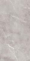 Керамогранит EPOQUE GREY LAP (PF60004301) 60x120 от Ariana (Италия)