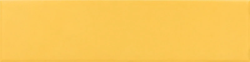 COSTA NOVA Yellow Matt 5x20