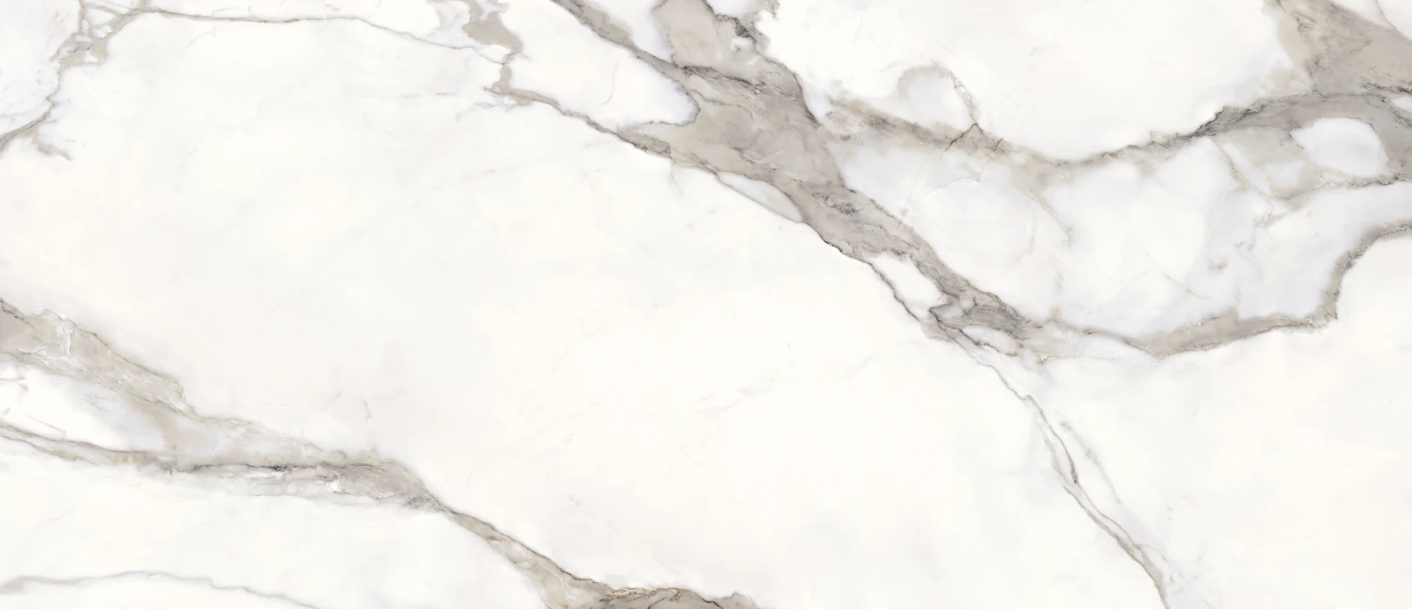 Provenza Unique Marble Calacatta Regale Lappato 120x278 см