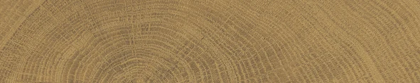 Provenza W-Circles Brick Walnut 5,3x30 см