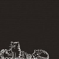 Настенная плитка Nuney-4 Negro 20x50 от Vives Ceramica (Испания)