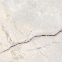 Керамогранит EPOQUE 21 LILAC WHITE ANT R (PF60009348) 60x60 от Ariana (Италия)