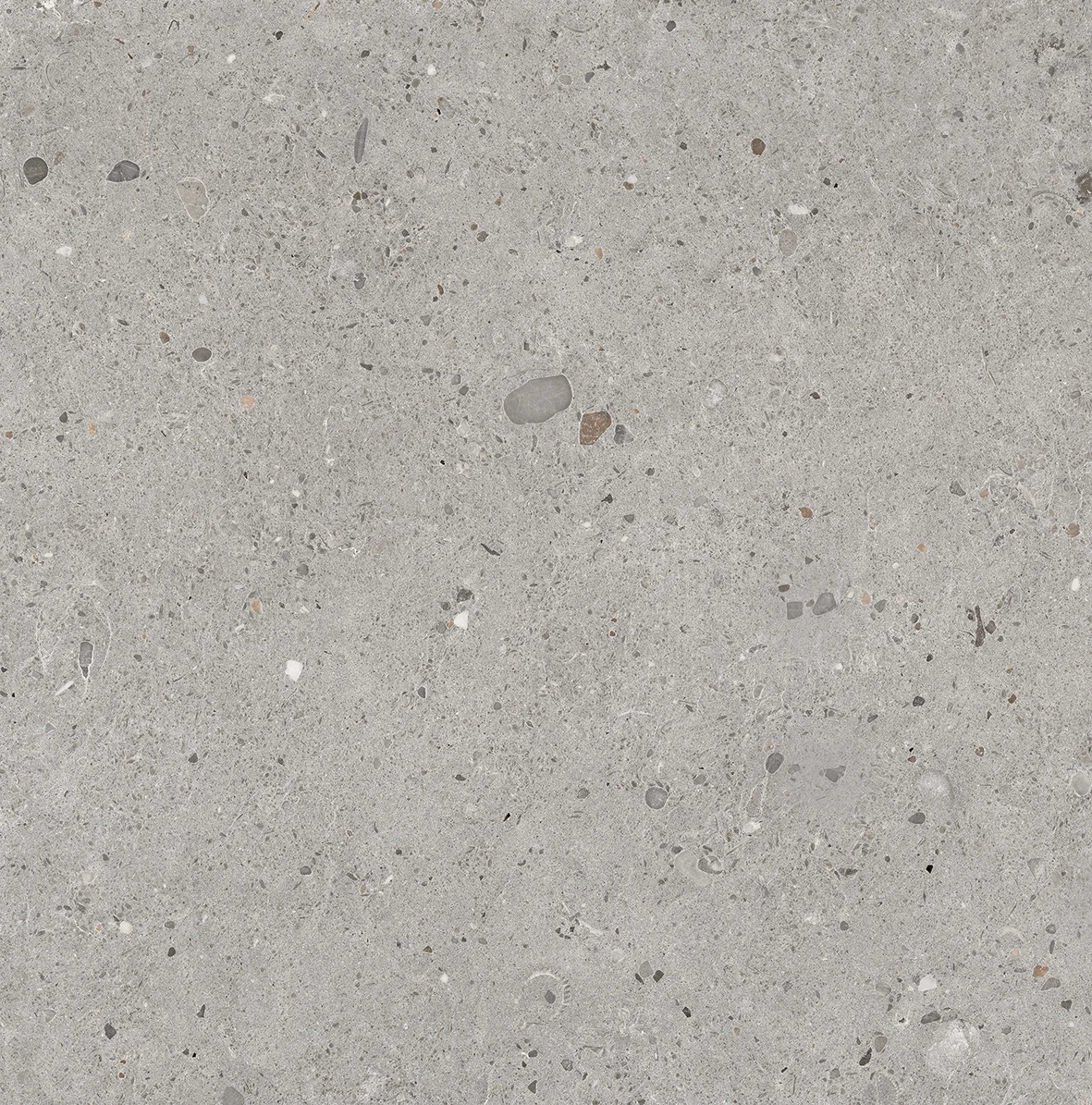 Provenza Ego Grigio 60x60 см