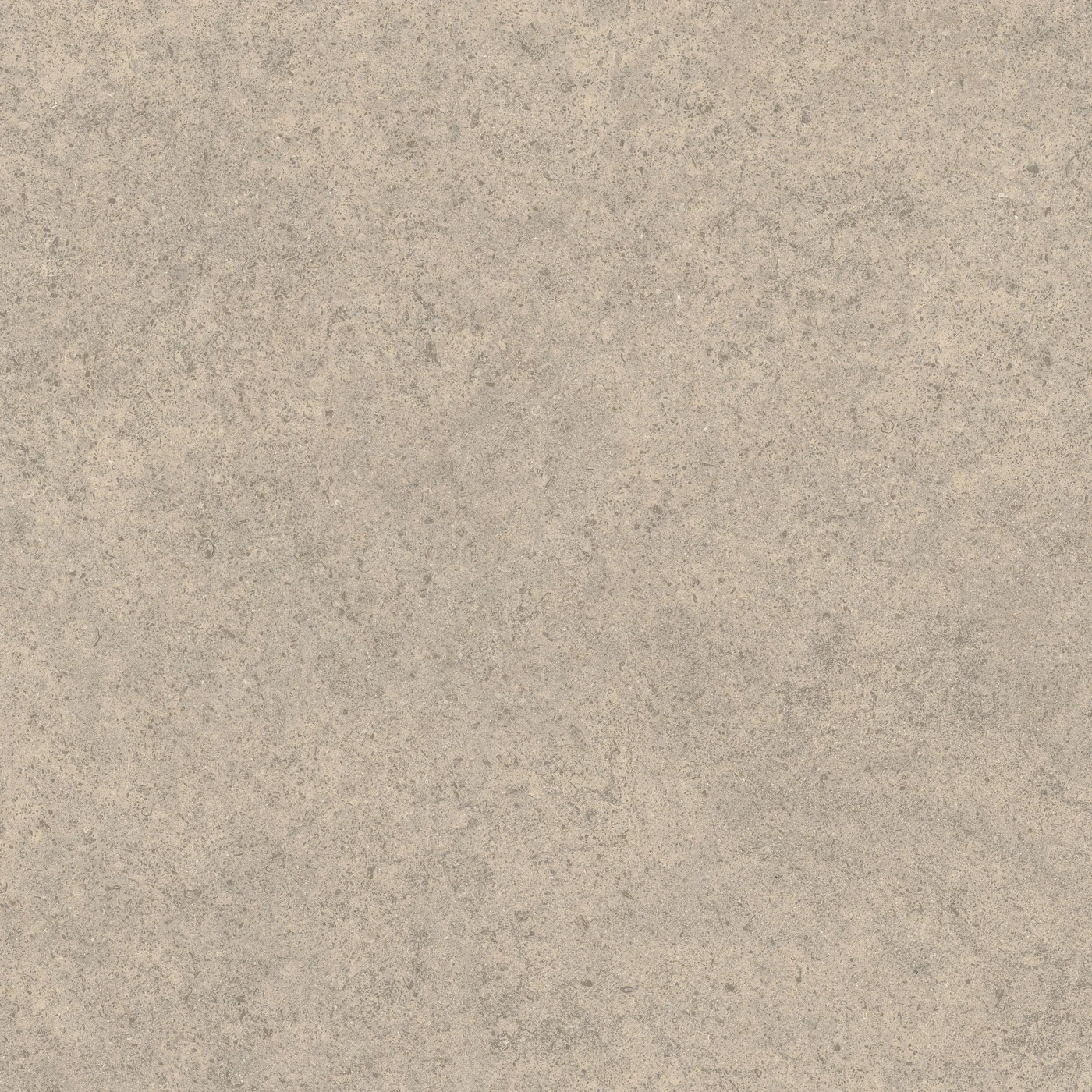 Керамогранит Forte dei Marmi Rock Moleanos Cream 120×120