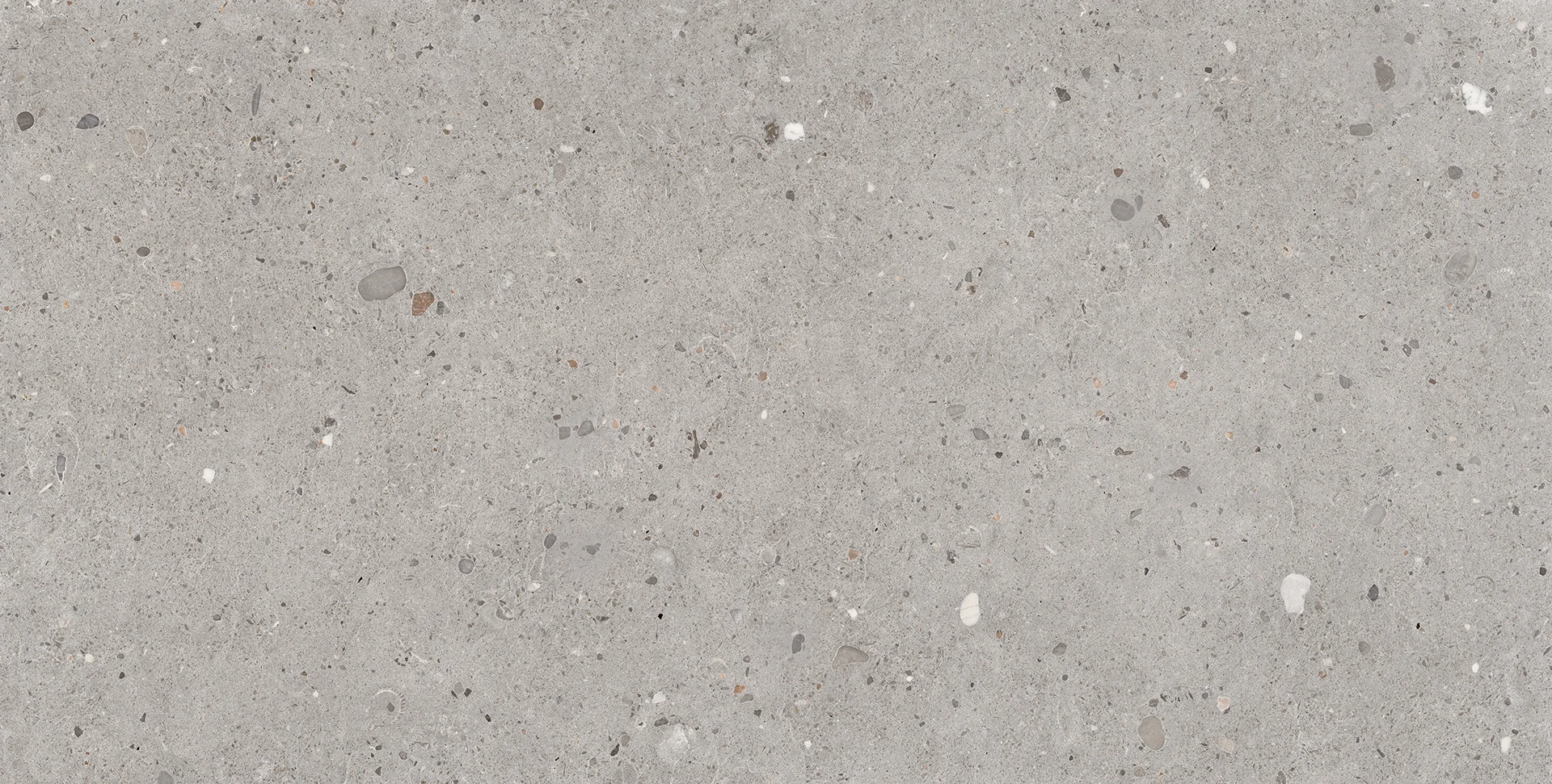 Provenza Ego Grigio Tecnica R11 60x120 см