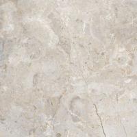 Керамогранит Paros Grafito 44 R 44.3x44.3 от Vives Ceramica (Испания)