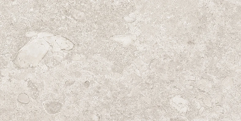Emil Mapierre Ancienne Gris R11 20x40 см