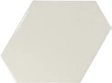 SCALE Benzene Mint 10.8x12.4