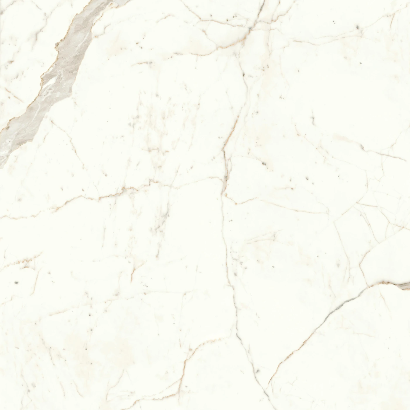 Керамогранит Marvel Shine Calacatta Prestigio Polished 120×120
