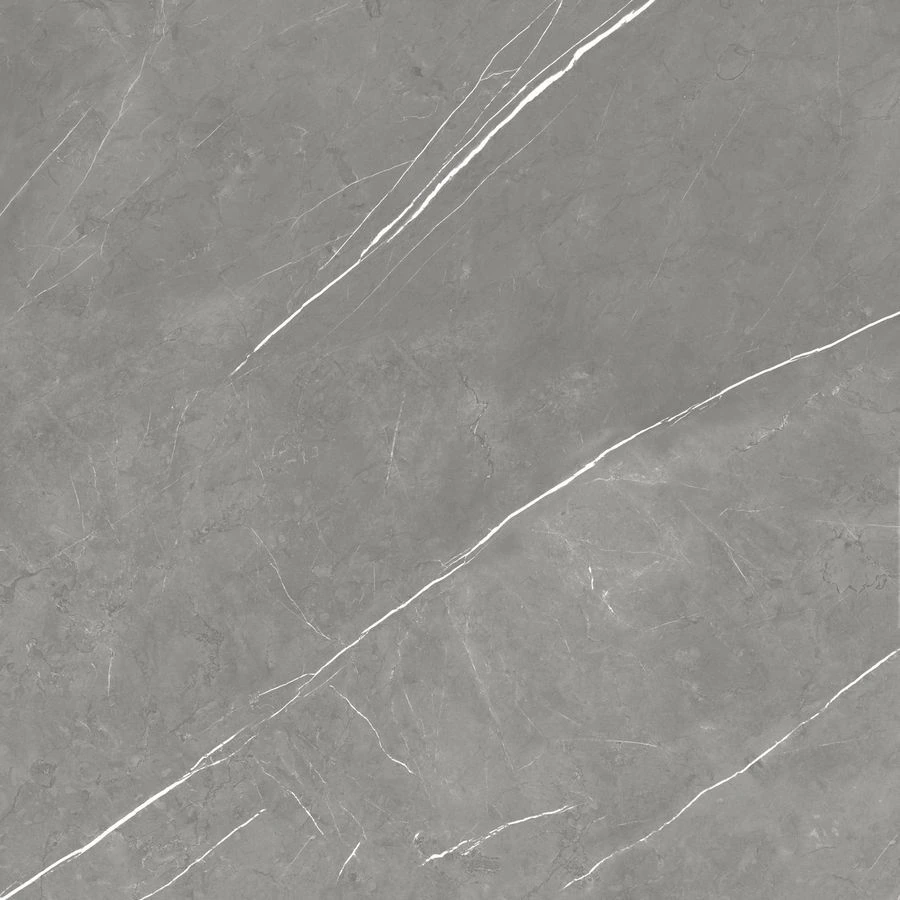 Керамогранит Forte dei Marmi Elegant Grey Матовая 120×120