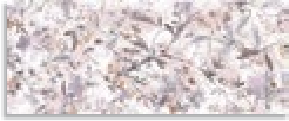 Керамическая плитка Vandal Rosa 20x50
