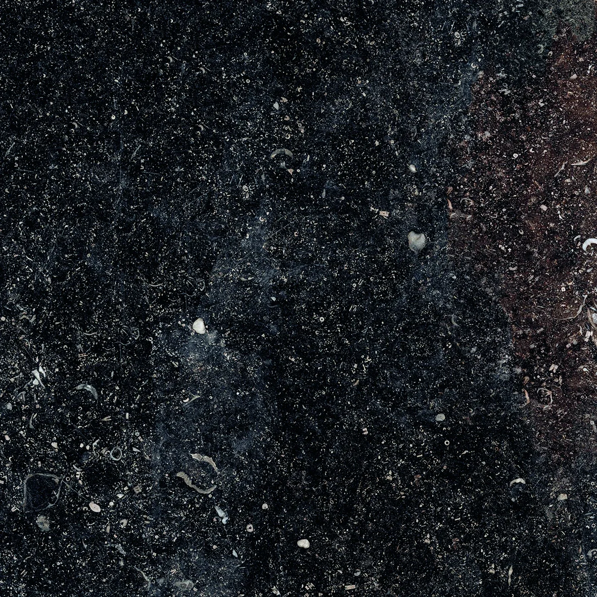 Provenza Unique Bleu Anthracite Noble 60x60 см