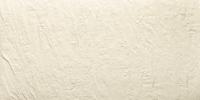  ALPES BLANCO 60X120 REC. ()