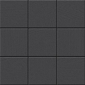 Керамогранит Canaima Negro 30x30