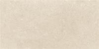 Керамогранит LEIRIA NATURAL MT 60X120 RECT. (Испания)