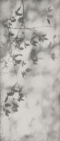 Керамогранит ART WALLS SHADOW NAT R 120x280