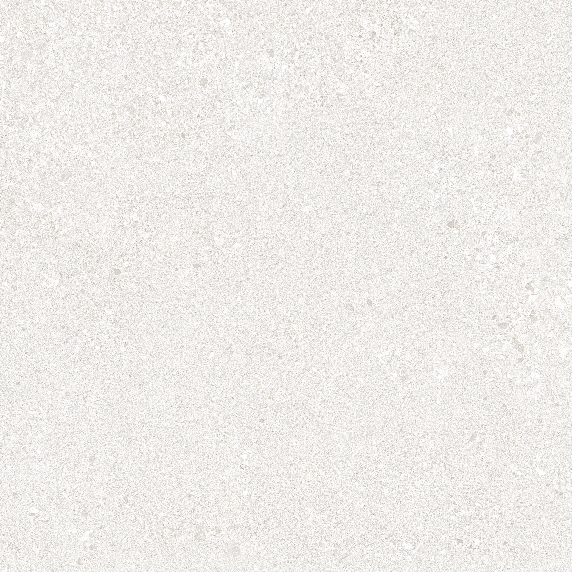 Ergon Grainstone White Rough Grain Tecnica R11 60x120 см