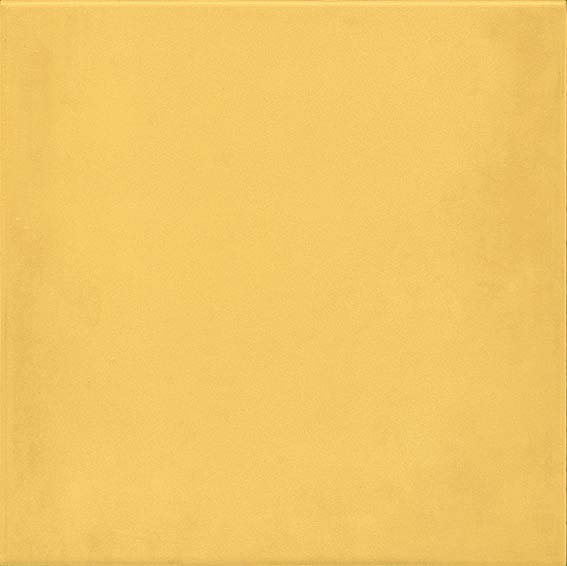 Керамическая плитка 1900 Amarillo 20x20