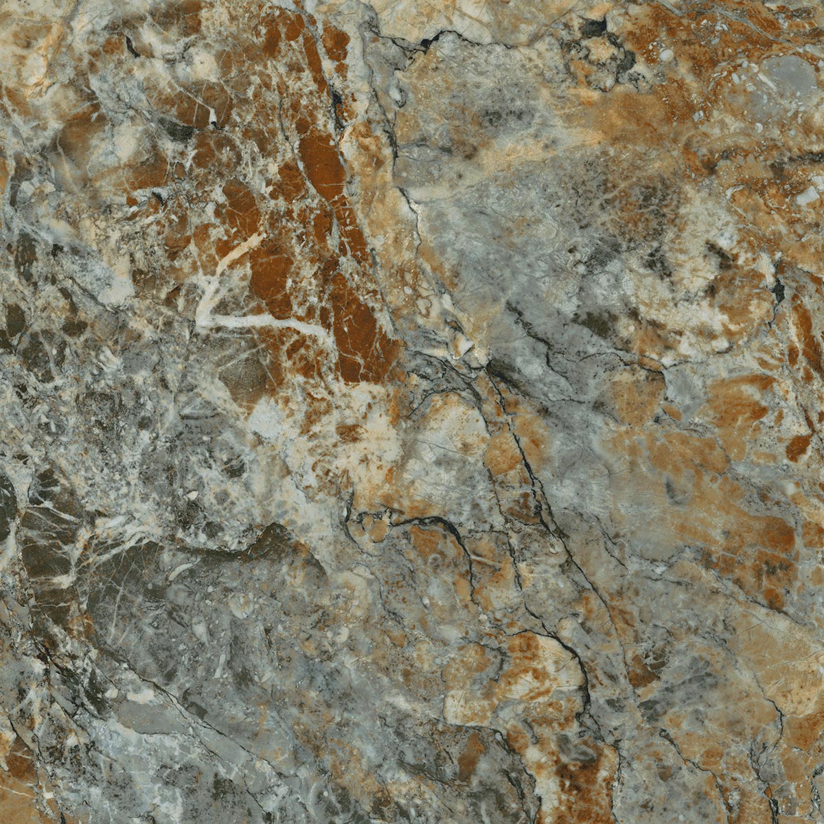 Керамогранит Tassili-R 120x120