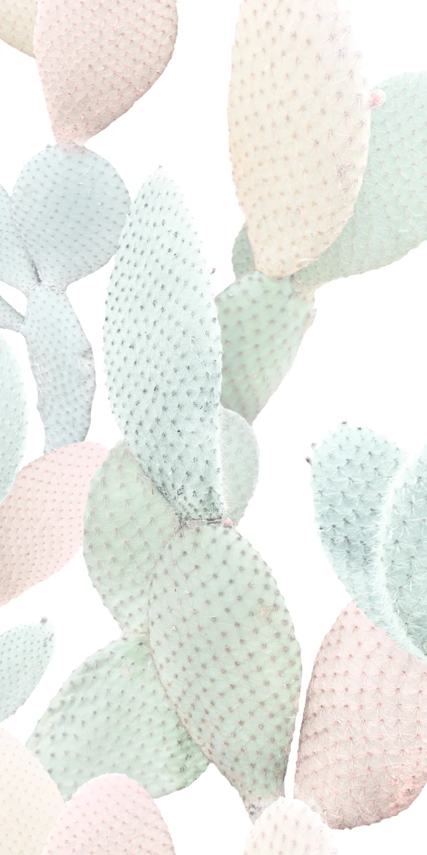Керамогранит Paper41 Pro Marcela 50x100