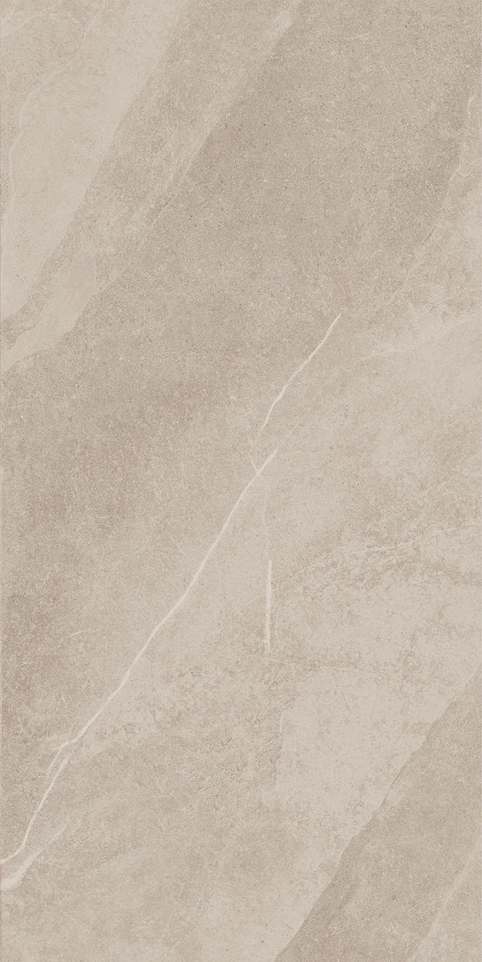 Shale Taupe