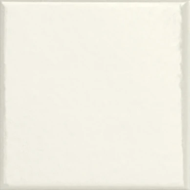 Керамогранит Peperino WOOL GLOSSY 10x10