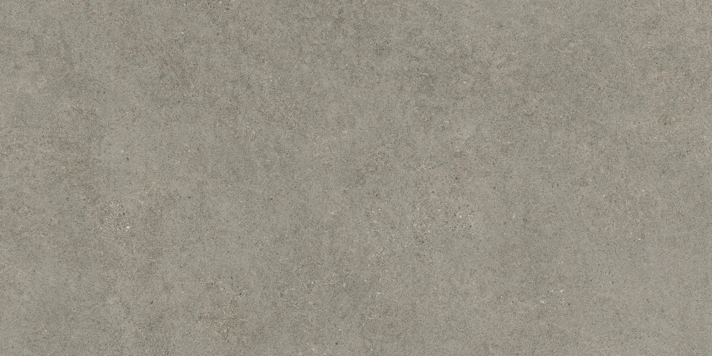 Керамогранит Forte dei Marmi Rock Lunar Grey 80×160