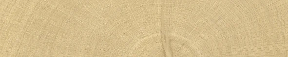 Provenza W-Circles Brick Oak 5,3x30 см