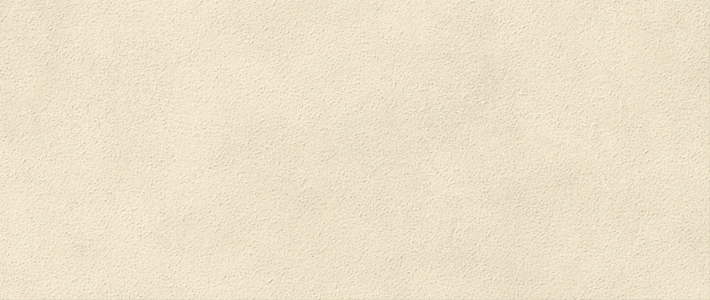 Керамическая плитка Boost Expression Grain Shell Matte 10 mm 50×120