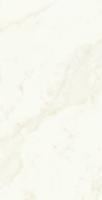 Керамогранит Marvel Shine Calacatta Delicato Lappato (A4Q0) 60x120 от Atlas Concorde (Италия)