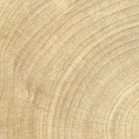 Provenza W-Circles Oak 10x10 см